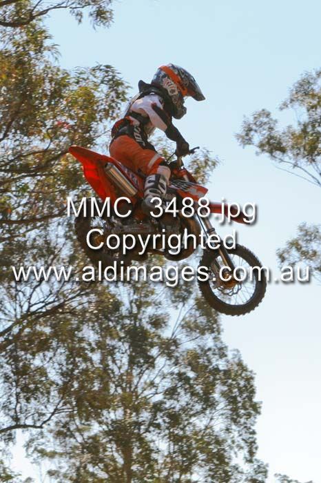 444x677 pixels (78K)